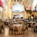 زواج الجيك ليس كأي زواج (حفلات زواج غير عادية )