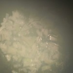 بالصور مقلوبة الباذنجان الشهية