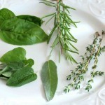 الإسكواش المحشو علي الطريقة الإيطالية بالصور