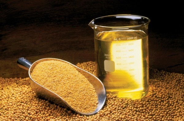 فوائد زيت الصويا وهل هو بديل صحي عن الزيوت التى نستخدمها ؟ فوائد زيت الصويا وهل هو بديل صحي عن الزيوت التى نستخدمها ؟