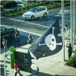 أبل ترفع علم القراصنة فوق المقر الرئيسي