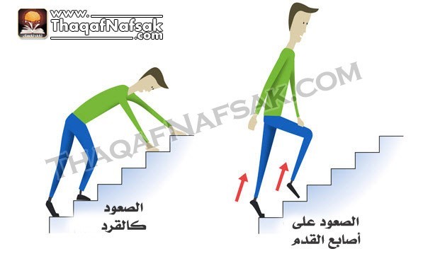 تمارين صعود السلم بالصور تمارين صعود السلم بالصور