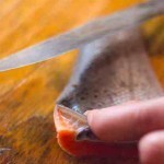 السلمون المقلي بخلطة اللوز طعم غاية في اللذة