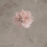 أشيك كولكشن قبعات لأناقتك بالصور