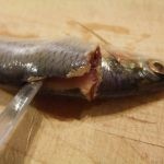 طريقة جديدة لعمل الرنجة بالصور ” مخلل الرنجة “