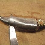 طريقة جديدة لعمل الرنجة بالصور ” مخلل الرنجة “