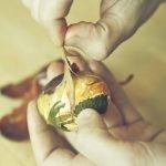 طرق تلوين البيض بقشر البصل بالصور