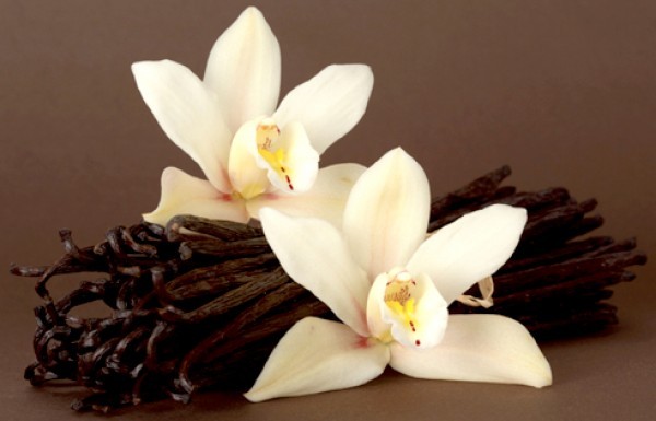 فوائد الفانيليا الرائعة للصحة وللجسم