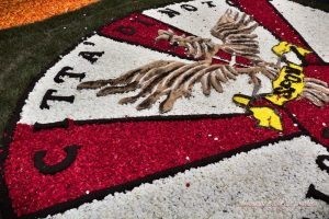 مهرجان الزهور في انفيوراتا في ايطاليا مهرجان الزهور في انفيوراتا في ايطاليا
