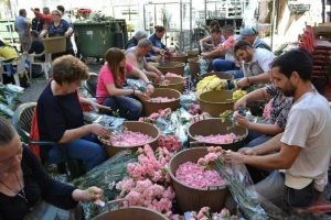مهرجان الزهور في انفيوراتا في ايطاليا مهرجان الزهور في انفيوراتا في ايطاليا