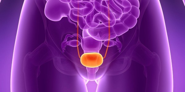 طرق منزلية لعلاج عدوى المثانة وآلامها طرق منزلية لعلاج عدوى المثانة وآلامها