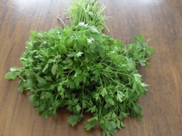 فوائد البقدونس ٤٧ فائدة لجسمك تجعلك لا تستغنى عنه