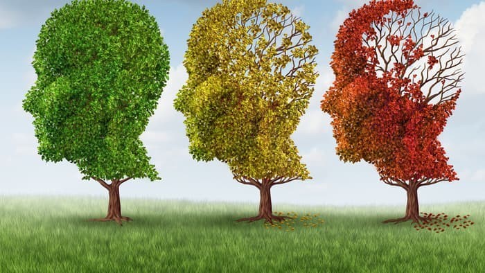 علاج جديد للزهايمر يسترجع كل وظائف الذاكرة