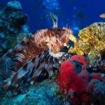 بالصور الثقب الأزرق The Blue Hole أجمل الأماكن الطبيعية في دهب