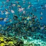 بالصور الثقب الأزرق The Blue Hole أجمل الأماكن الطبيعية في دهب