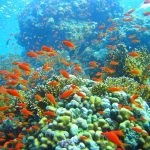 بالصور الثقب الأزرق The Blue Hole أجمل الأماكن الطبيعية في دهب