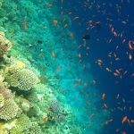 بالصور الثقب الأزرق The Blue Hole أجمل الأماكن الطبيعية في دهب