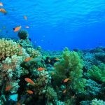 بالصور الثقب الأزرق The Blue Hole أجمل الأماكن الطبيعية في دهب