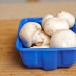 دجاج الجوليان والمشروم بالصور