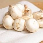 دجاج الجوليان والمشروم بالصور