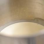 دجاج الجوليان والمشروم بالصور