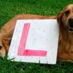 صور و خلفيات حرف l مميزة لكل من يبدأ أسمهم بحرف l