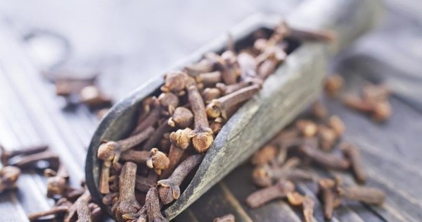 فوائد زيت القرنفل للشعر لهذه الأسباب ننصحك به