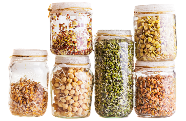 فوائد تناول الحبوب الكاملة لصحتك