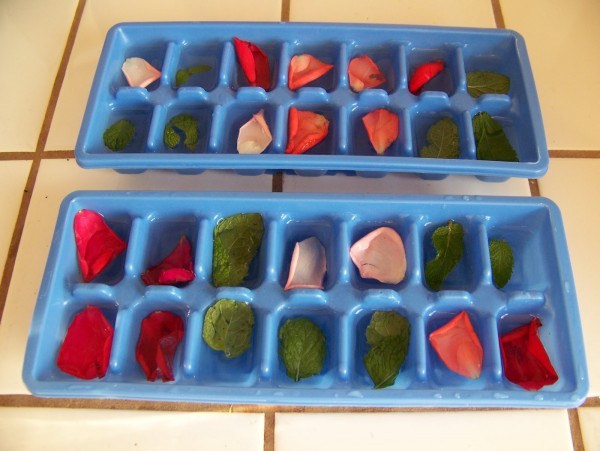 مكعبات الثلج مع بتلات الزهور، سر اسكتلندي لبشرة مذهلة