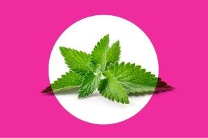 ألذ وأقوى ١٠ أطعمة لحرق دهون البطن ألذ وأقوى ١٠ أطعمة لحرق دهون البطن