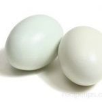 كيفية شراء البيض الصحي ؟