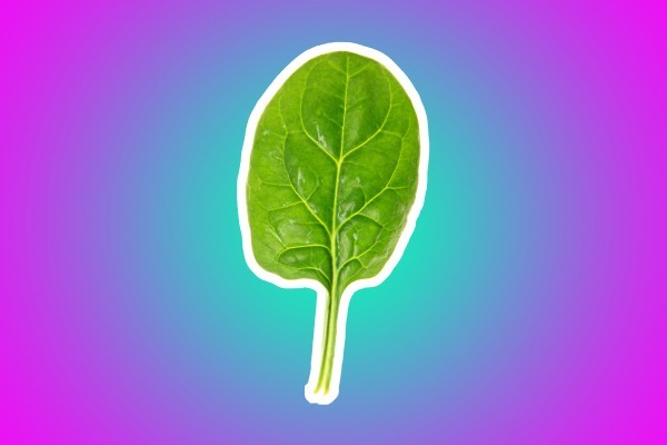 أطعمة لترطيب البشرة في الشتاء ١١ نوع لا غنى عنه