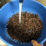 عمل الكينوا المتبلة بالصور وصفة شهية