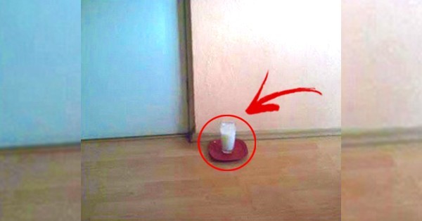 ترك كوب زجاجي من الملح والخل في بيتك ولاحظ نتائج لا تصدق في غضون 72