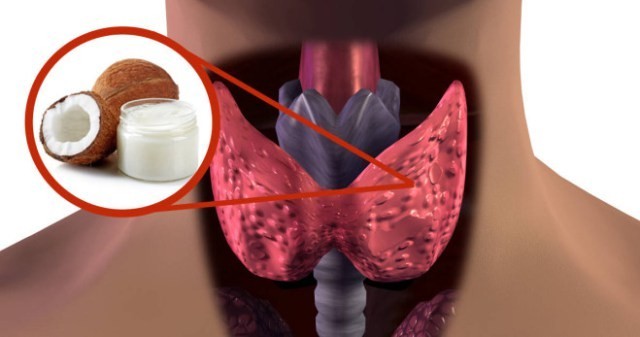 فوائد زيت جوز الهند للغدة الدرقية
