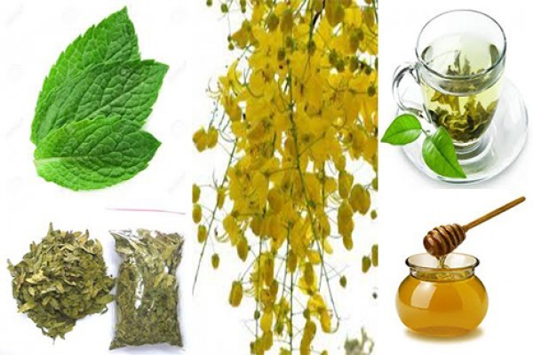 مشروب خلطة الأعشاب لإنقاص الوزن مشروب خلطة الأعشاب لإنقاص الوزن