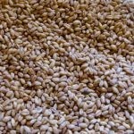 وصفة عمل البليلة باللبن بالصور