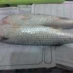 طريقة عمل الفسيخ بوصفة أمنة وبسيطة بالصور في البيت