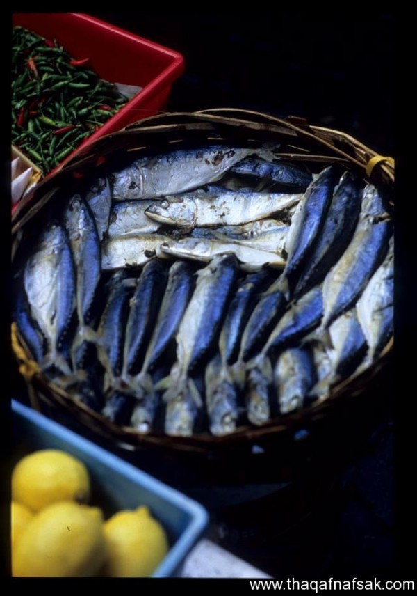 الأسماك المملحة “الفسيخ و الرنجة” طرق الأكل الصحيحة والتصدي لحالات التسمم