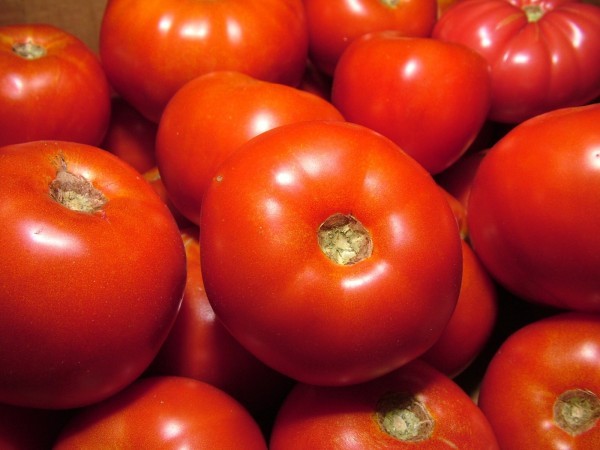 رجيم الطماطم ٥ أيام وتنحيف مضمون