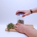 طريقة عمل زيت الروزماري بالصور بنفسك طريقة عمل زيت الروزماري بالصور بنفسك