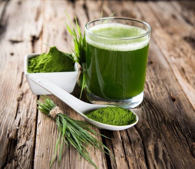 فوائد عشب القمح للصحة والحيوية ” Wheatgrass “ فوائد عشب القمح للصحة والحيوية ” Wheatgrass “