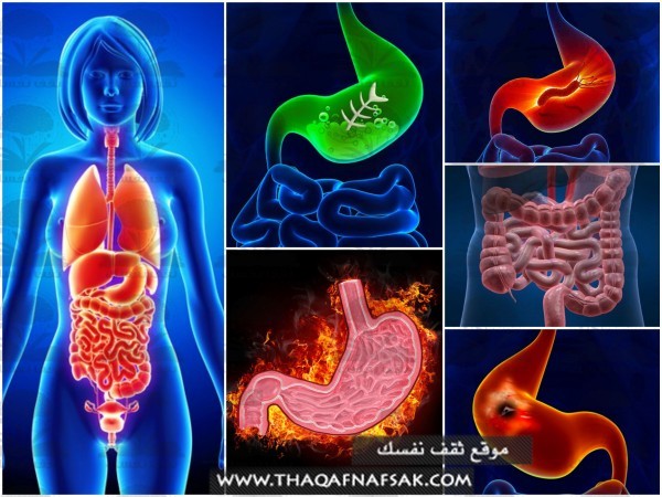 ١٦ طريقة للتخلص من مشاكل المعدة في رمضان ١٦ طريقة للتخلص من مشاكل المعدة في رمضان