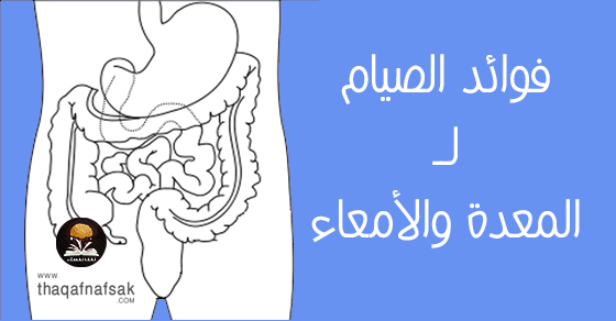 أهم فوائد الصيام للمعدة