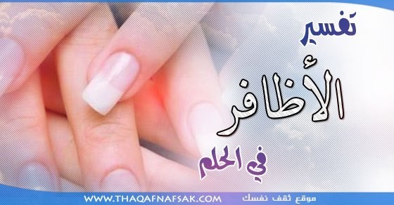 تفسير الأظافر في الحلم تفسير الأظافر في الحلم