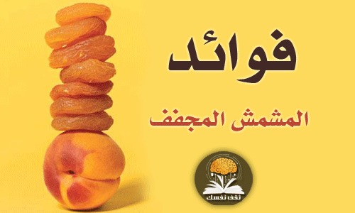 فوائد المشمش المجفف