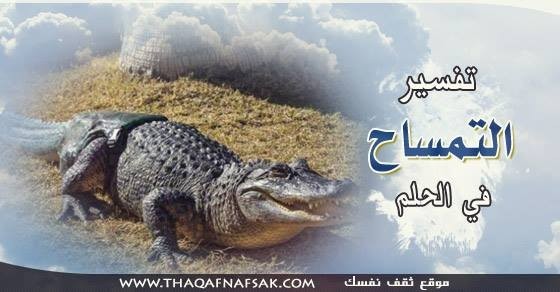 تفسير التمساح في الحلم تفسير التمساح في الحلم