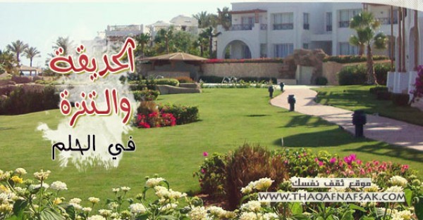 تفسير الحديقة أو التنزه في الحلم تفسير الحديقة أو التنزه في الحلم