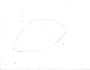 كيف ترسم عين حقيقية ؟