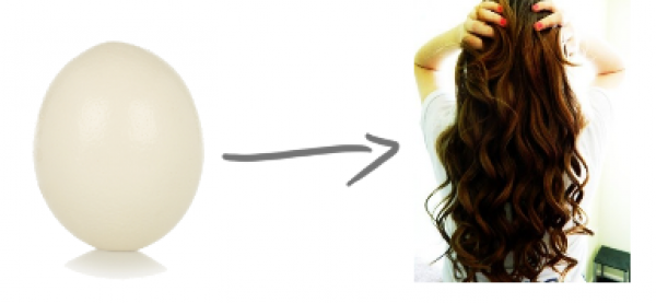 كيفية إستخدام البيض للشعر ؟